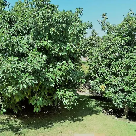 Peralta, Heated And Private Pool ,near And Golf ! * Alhaurín de la Torre